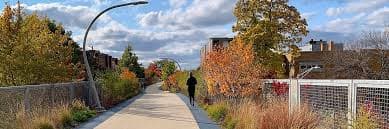 Runner on trail in the fall with fall colors and a cloudy sky